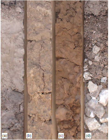 Figure 17.6 Soil types: (a) Podsol; (b) Gley; (c) Brown earth; (d) Rendzina.
