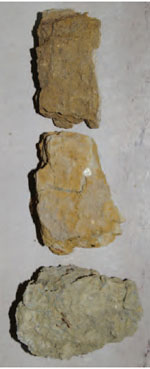Figure 17.7 Soil colours. Brown (top), Mottled, Gley (bottom).