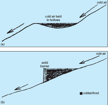 The creation of frost pockets : (a) natural 