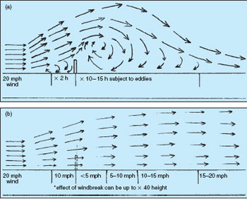 The effect of windbreaks : (a) solid barriers ?