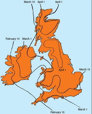 Beginning of Spring in the British Isles (average 