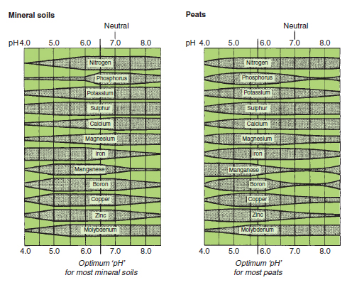 Figure 20.4 Effect of soil pH on nutrient availability. The availability of a given amount of nutrient is indicated by the width of the band. The growing media should be kept at a pH at which all essential nutrients are available. For most plants the optimum pH is 6.5 in mineral soils and 5.8 in peats