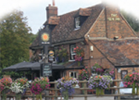 Figure 22.1 Hanging baskets are both popular for the garden, but are also used in public areas by Local Authorities and businesses wishing to make a good impression