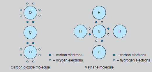 Figure 8.2 Carbon dioxide and methane