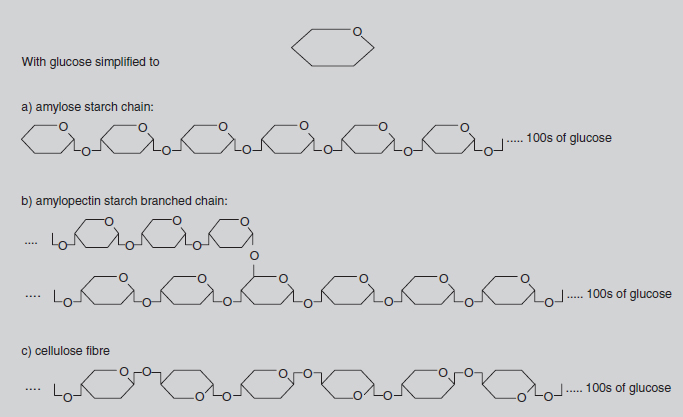 Figure 8.4 Starch and cellulose molecules