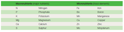 Nutrient requirements